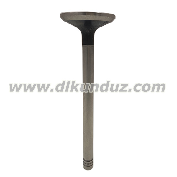 TCD2013 2V Exhaust valve 04285957 04283709 04290025
