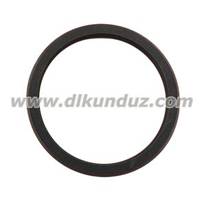 BFM1013 Rot.shaft lip seal 04253333 04907773 04202332 04253543