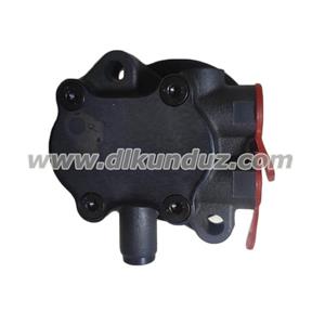 TCD2013 Fuel pump 04296790 04294711 21021484