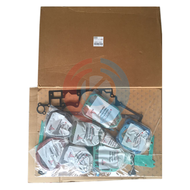 BF8M1015 gasket set 02931437 02931285 02931479