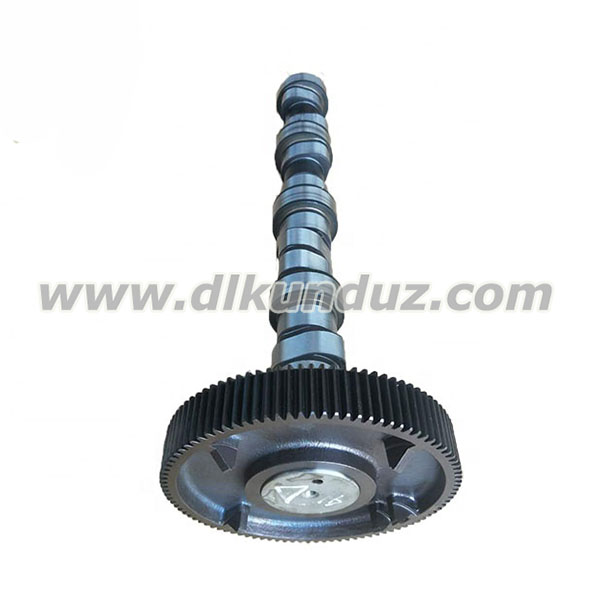 TCD2013
L04 4V عمود كامات محرك الديزل 04909271 04908254