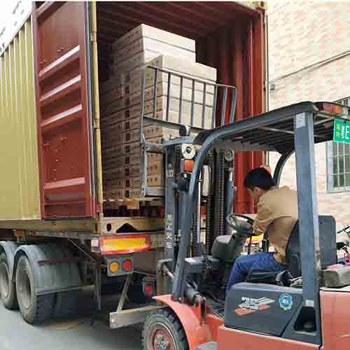 Ensured Logistics Services
