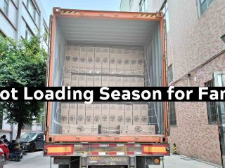 موسم التسليم الحار للجماهير