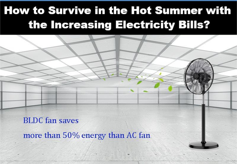 How to survive in the hot summer with the increasing electricity bills