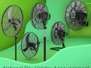 Electric Fan with DC Motor