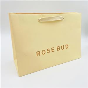Luxury Brand Printed Paper Shopping Bags