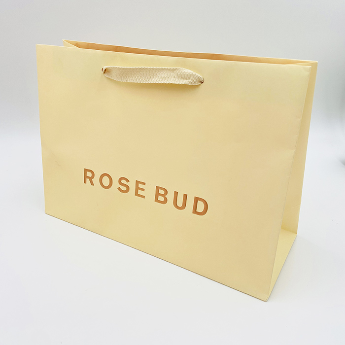 Luxury Brand Printed Paper Shopping Bags