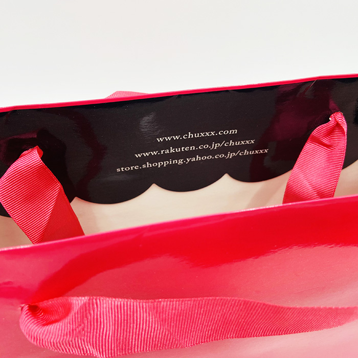 Printed Luxury Paper Gift Bags With Ribbon