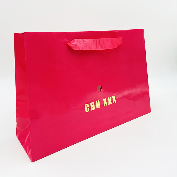 Printed Luxury Paper Gift Bags With Ribbon