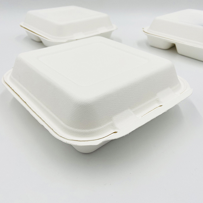 Sugarcane Pulp Paper Bagasse Take Out Containers