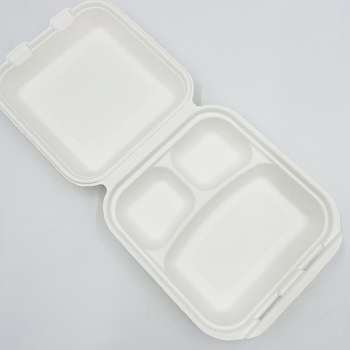 Sugarcane Pulp Paper Bagasse Take Out Containers