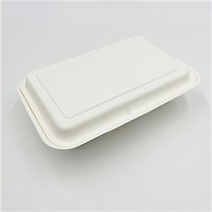 Bagasse Clamshell Containers Sugarcane Food Packaging Food Container