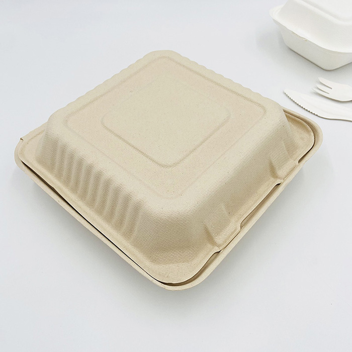 Compostable To Go Containers Biodegradable Boxes For Food