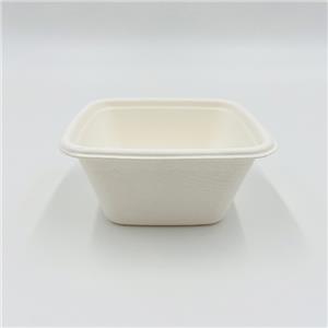 ECO Box 4 Compostable Biodegradable Salad Boxes