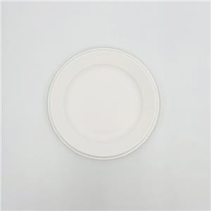 Borden gemaakt van suikerrietafval Wegwerpborden van suikerrietpulp