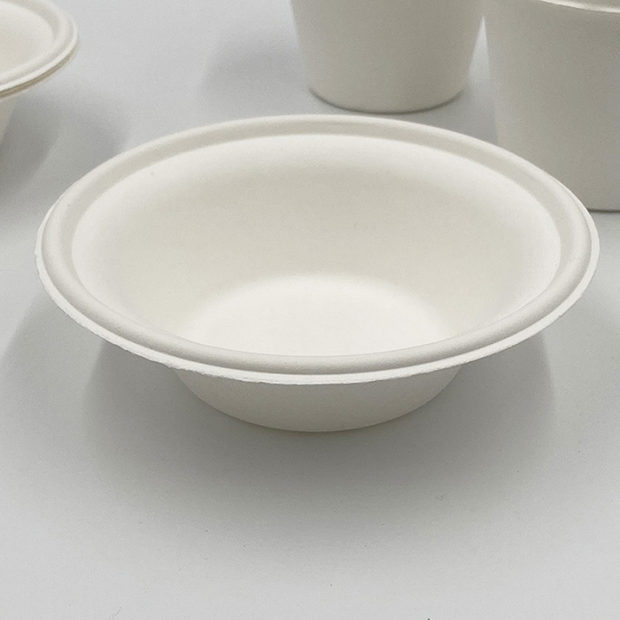 Sugar Cane Packaging Bagasse Salad Bowl