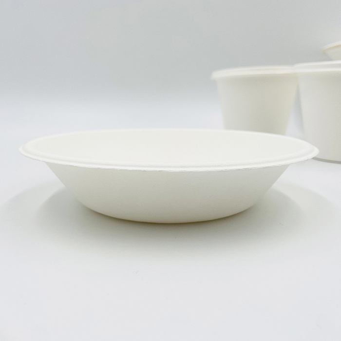 Sugarcane Pulp Containers Bowl Bagasse