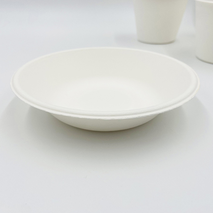 Sugarcane Pulp Containers Bowl Bagasse