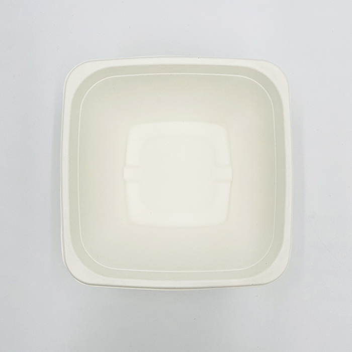 Compostable Salad Boxes Disposable Bowl