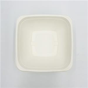 Compostable Salad Boxes Disposable Bowl