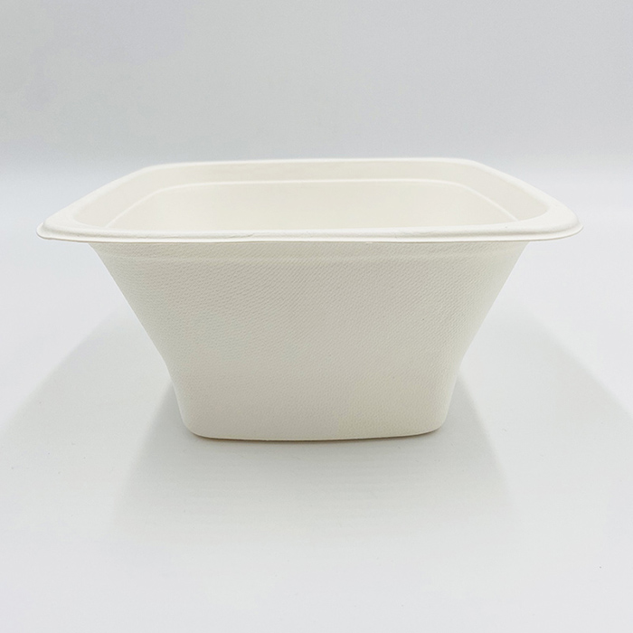 Compostable Salad Boxes Disposable Bowl