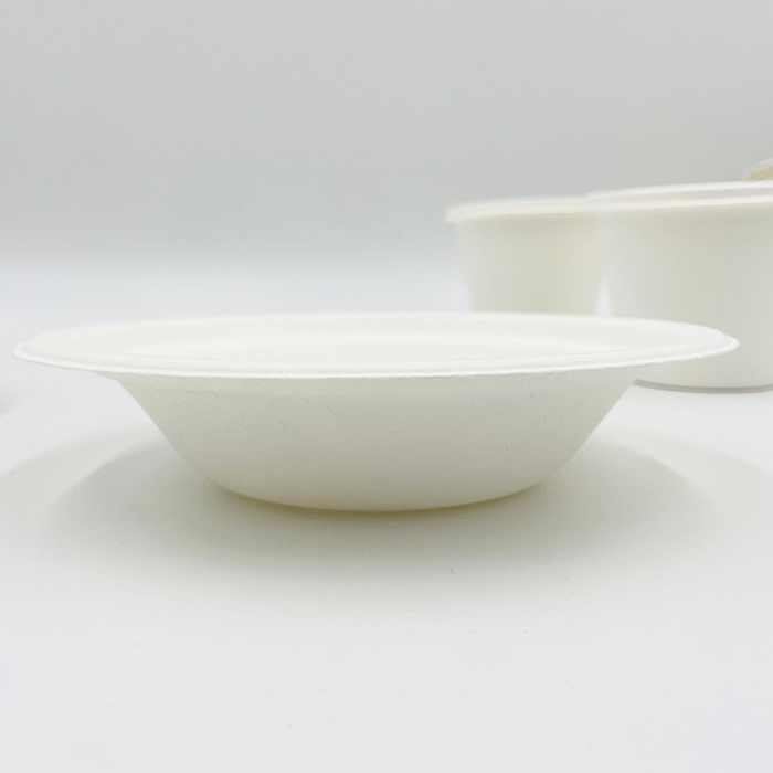 Bagasse Tableware Pulp Bowl