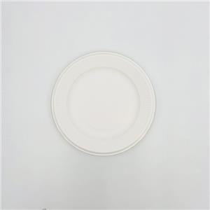 Disposable Plates From Bagasse Compostable Sugarcane Plates