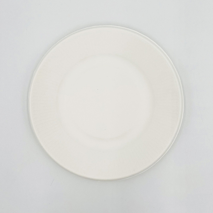 Biodegradable Bagasse Plates Disposable Plates Made From Sugarcane