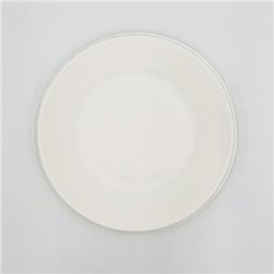Biodegradable Bagasse Plates Disposable Plates Made From Sugarcane