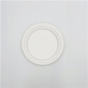Sugar Cane Waste Paper Plates Biodegradable Sugarcane Plates