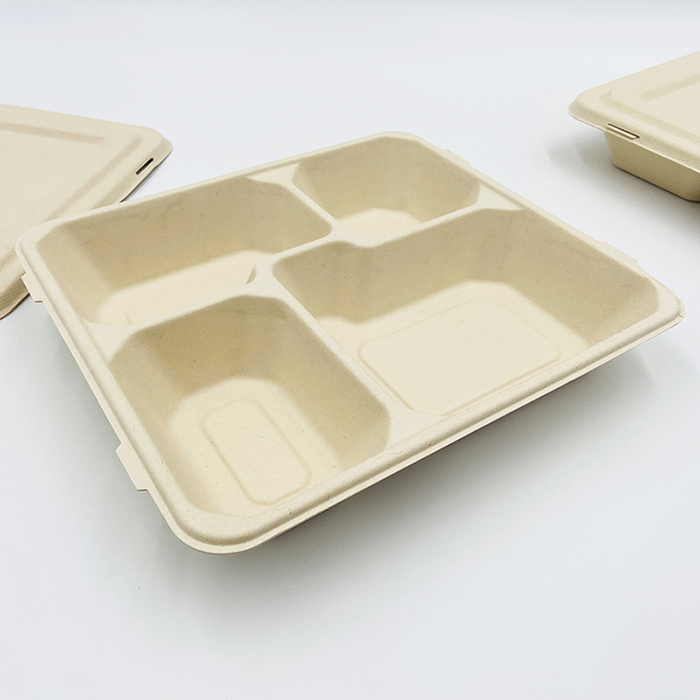 Biodegradable Sugarcane Bagasse Plate Sugarcane Fiber Plates