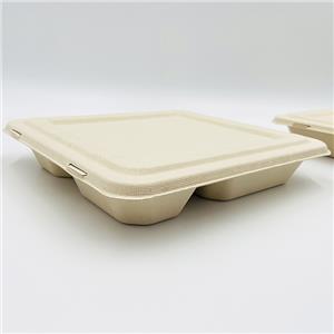 Biodegradable Sugarcane Bagasse Plate Sugarcane Fiber Plates