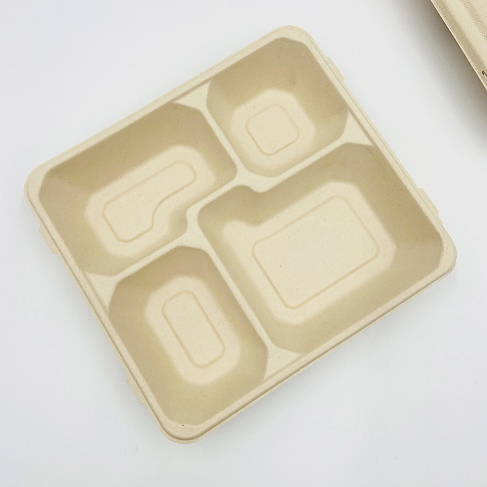 Biodegradable Sugarcane Bagasse Plate Sugarcane Fiber Plates