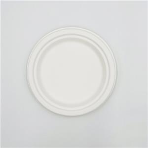 Bagasse Paper Plates Sugarcane Paper Plates