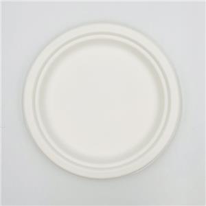 Sugarcane Pulp Plates Molding Plates