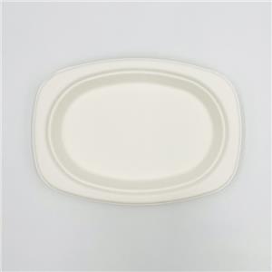 ECO Friendly Plates Paper Plate