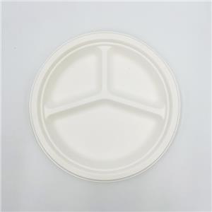 Sugarcane Pulp Plates Compartment Plates