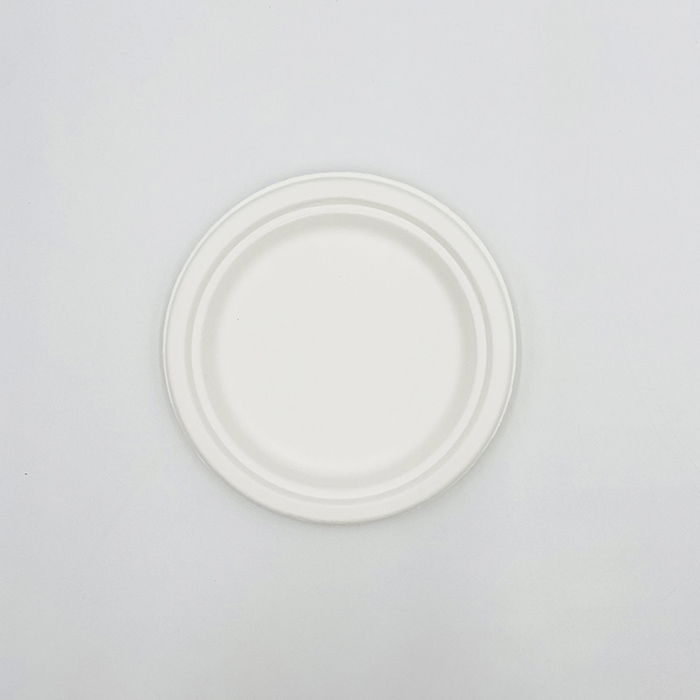 Party Tableware Dinner Plate