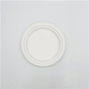 Party Tableware Dinner Plate