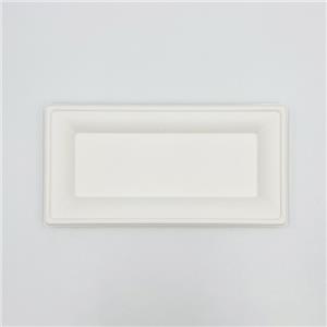 Biodegradable Sugarcane Plates Rectangular Plates