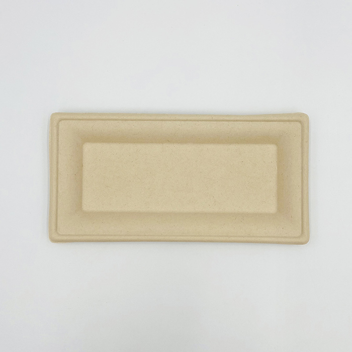 Biodegradable Sugarcane Plates Rectangular Plates