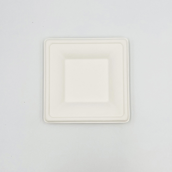 Sugarcane Pulp Plates Square Plate