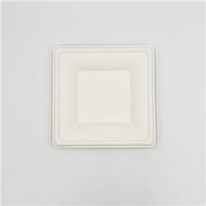 Sugarcane Pulp Plates Square Plate