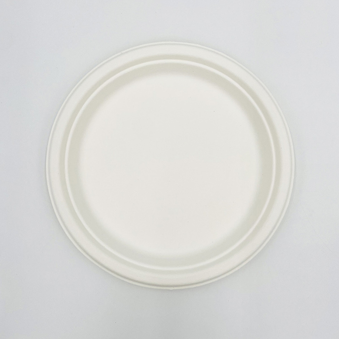 Biodegradable Sugarcane Bagasse Plate Large Round Plate