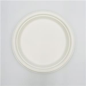 Biodegradable Sugarcane Bagasse Plate Large Round Plate