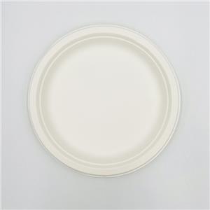 Compostable Sugarcane Plates Wedding Plate