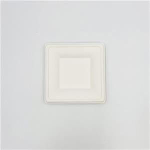 Paper Plates For Restaurant