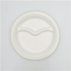 Suikerrietpulpplaten Papieren schotelplaat