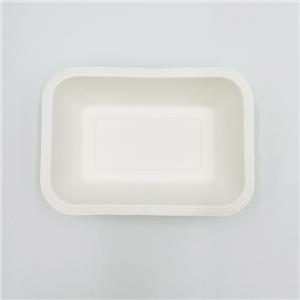 Bagasse Tray Pulp Tray