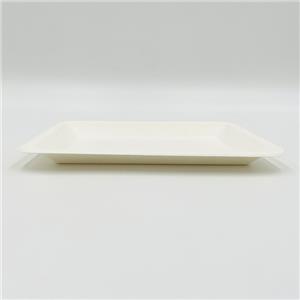 Bagasse Food Trays Molded Pulp Trays